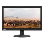 Monitor Samsung com imagem de zebras em ambiente natural.