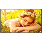 65UL5Q-M Monitor Profissional LG 65" stand alone 24x7